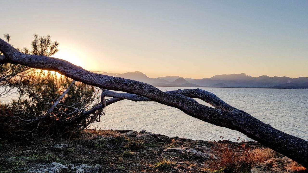 Es Fasser Alcúdia Exteriér fotografie